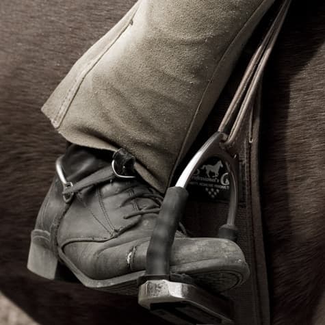 Fine art animal photograph titled Boot by Angelique Antoniou